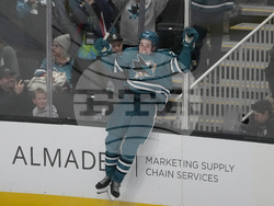 Red Wings Sharks Hockey