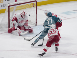 Red Wings Sharks Hockey