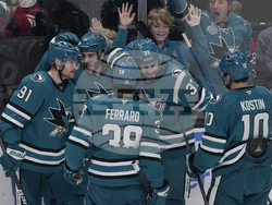 Red Wings Sharks Hockey