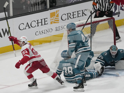Red Wings Sharks Hockey