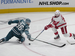 Red Wings Sharks Hockey
