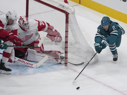 Red Wings Sharks Hockey