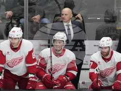 Red Wings Sharks Hockey