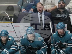 Red Wings Sharks Hockey