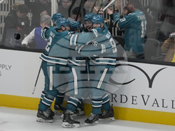 Red Wings Sharks Hockey