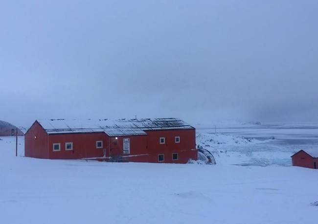 Онлайн среща между Средно училище „Ген. Хосе де Сан Мартин“ в София и училището на антарктическата база „Есперанса“ ще се състои днес