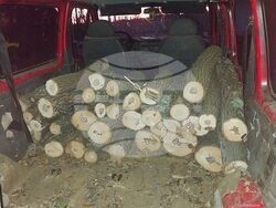 Снимка: Изпълнителна агенция по горите