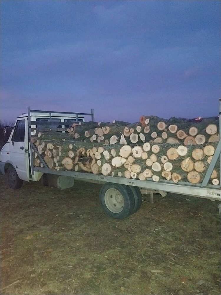 Екип на ИАГ задържа агресивни системни нарушители във Видинско