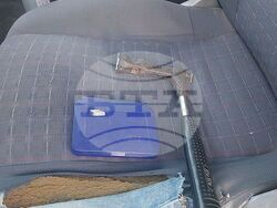 Снимка: Изпълнителна агенция по горите