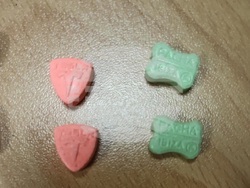 Снимка: Апелативна прокуратура – Бургас