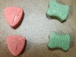 Снимка: ГД „Гранична полиция“