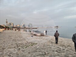 макет - мъртъв кашалот - Баку