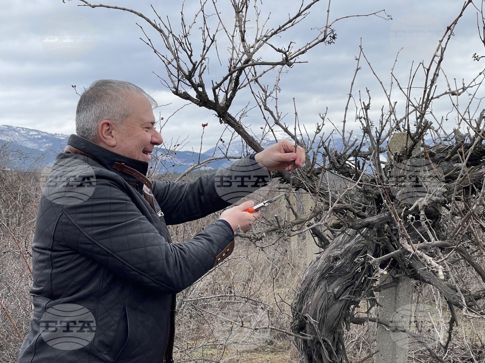 President to Visit Southern Village on Vine Growers' Day, Feb. 14
