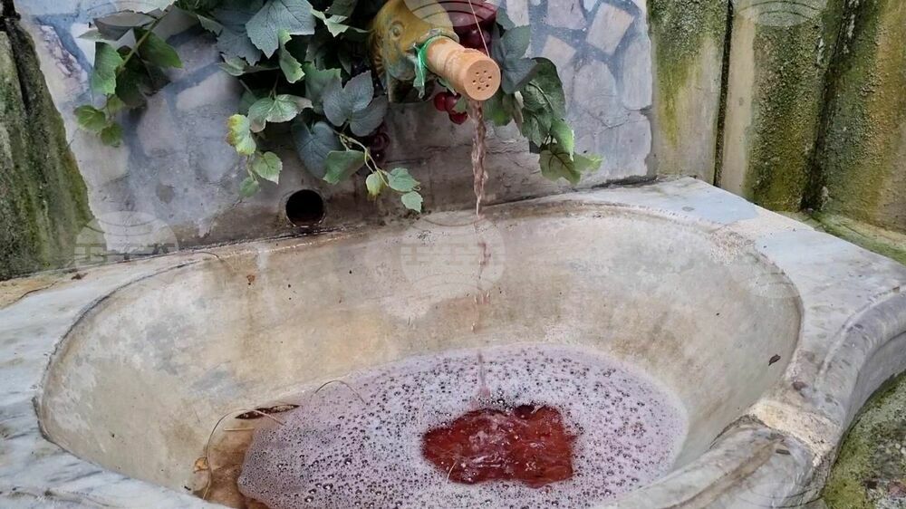 Ministry of Agriculture Developing a Marketing Strategy for Advertising of Bulgarian Wine
