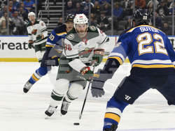 Wild Blues Hockey