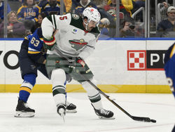 Wild Blues Hockey