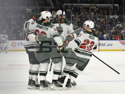 Wild Blues Hockey