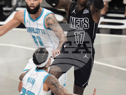 Hornets Nets Basketball