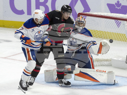 Oilers Senators Hockey