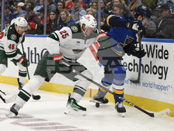 Wild Blues Hockey