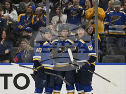 Wild Blues Hockey
