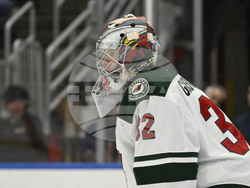 Wild Blues Hockey
