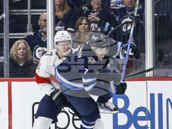 Panthers Jets Hockey