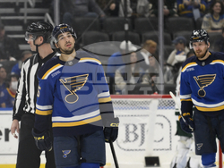 Wild Blues Hockey