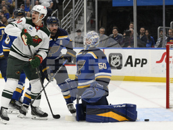 Wild Blues Hockey