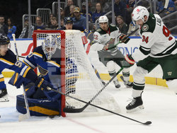 Wild Blues Hockey