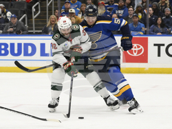 Wild Blues Hockey