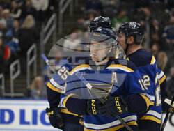 Wild Blues Hockey