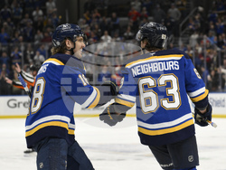 Wild Blues Hockey
