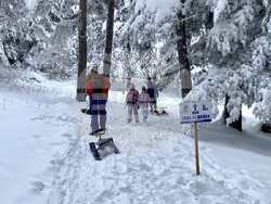 Шейни зоната на хижа "Алеко" отваря врати