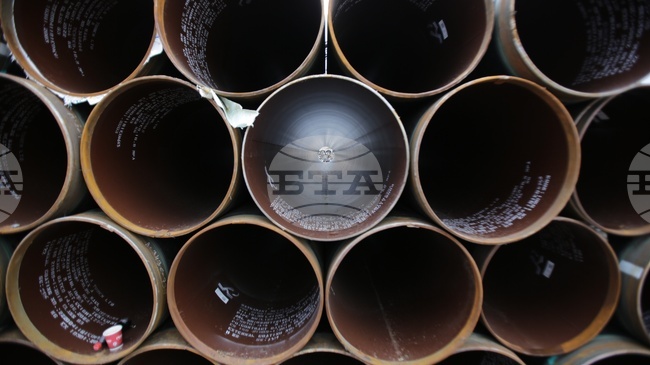 Сърбия очаква да подпише нов газов договор с Русия до 20 март, заяви главният изпълнителен директор на "Сърбиягаз"