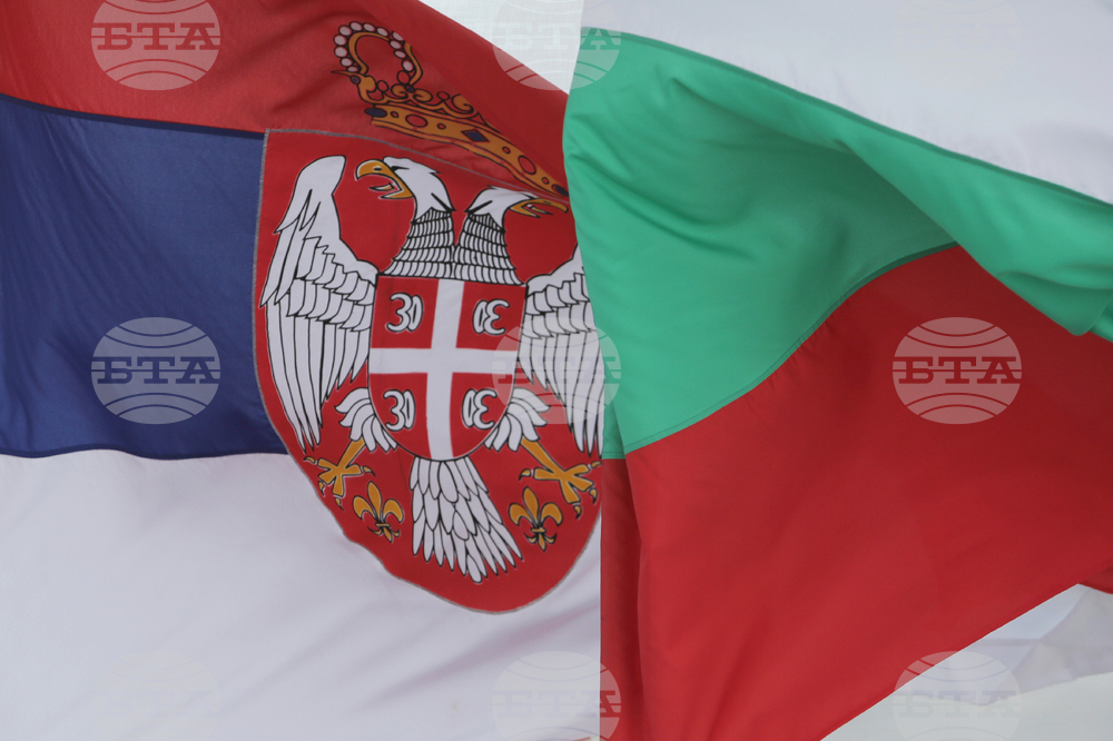 Presidents of Bulgaria, Serbia Attend Start of Construction on Bulgarian Side of Bulgaria-Serbia Gas Interconnector