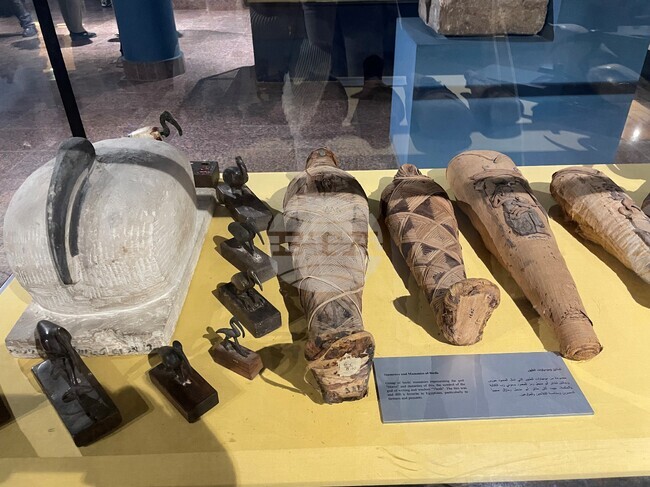 Непокътната древноегипетска мумия на сокол се продава в Абу Даби за близо 90 000 долара