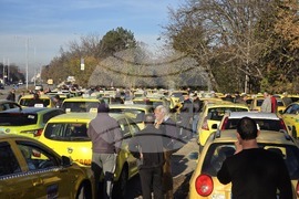 Плевен - протест - таксита