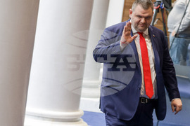 Народно събрание - заседание - Делян Пеевски