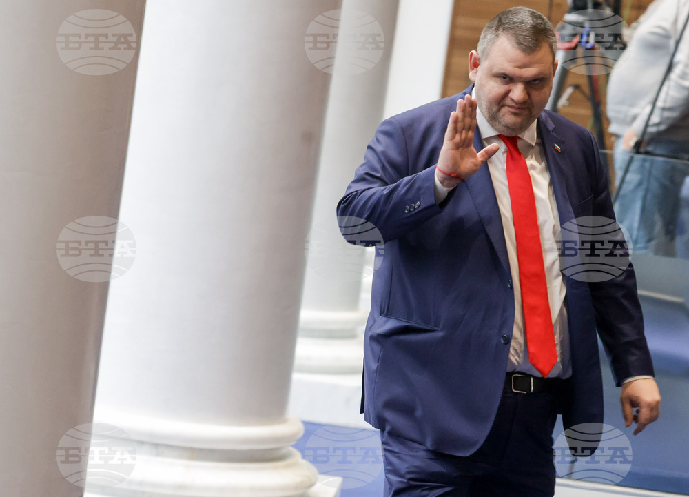 Народно събрание - заседание - Делян Пеевски