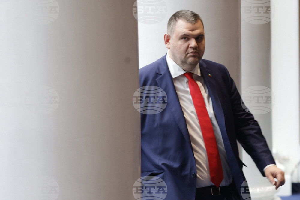 Народно събрание - заседание - Делян Пеевски