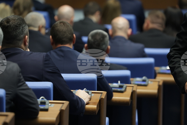 MPs Fail to Elect Parliament Chair, New Vote to Be Held Later on Wednesday