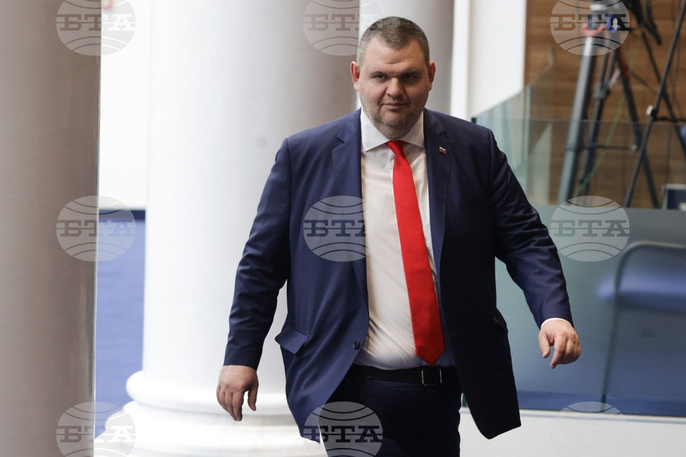 Народно събрание - заседание - Делян Пеевски