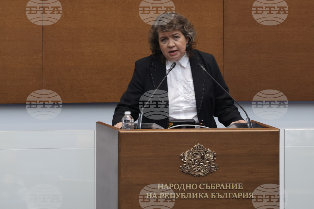 Народно събрание - заседание - Наталия Киселова