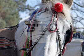 Варна - Тодоровден