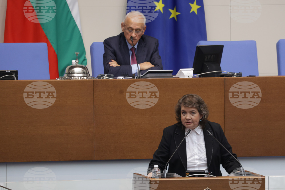 Народно събрание - заседание - Наталия Киселова