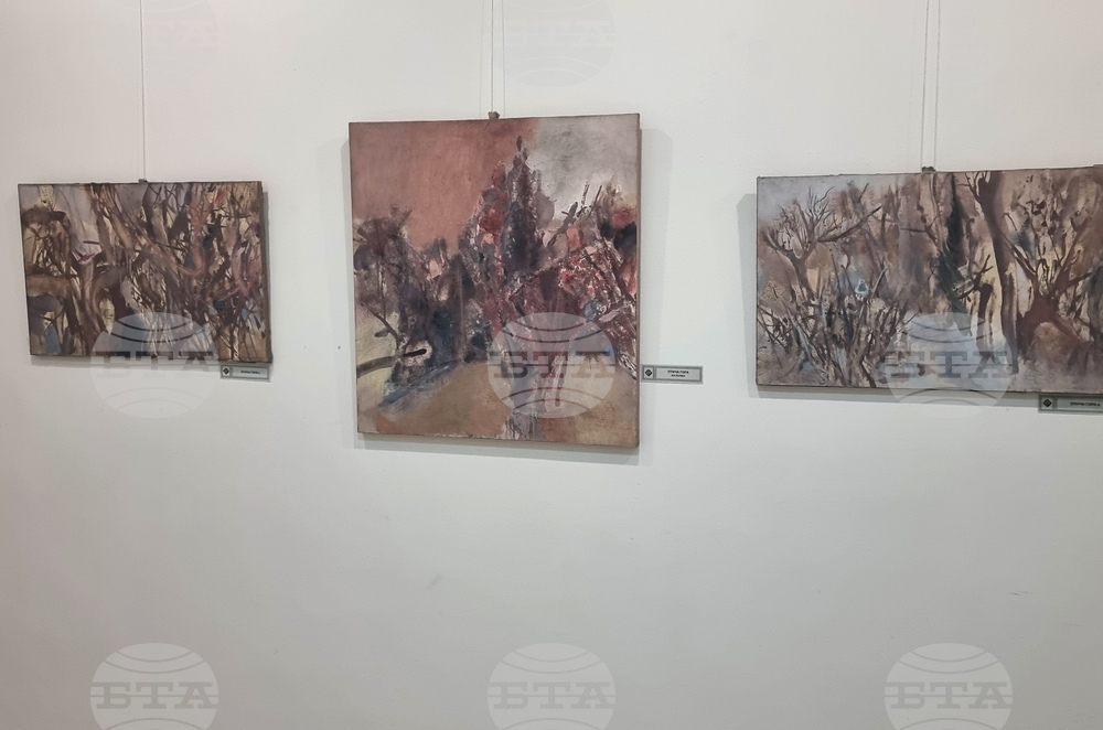 Плевен - Стилиян Атанасов - изложба