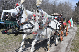 Варна - Тодоровден