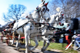 Варна - Тодоровден