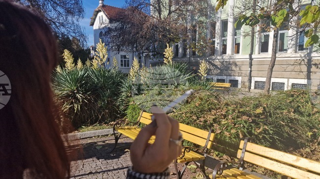 За Международния ден без тютюнопушене Регионалната здравна инспекция ще има безплатна скринингова кампания в Търговище и в Попово 